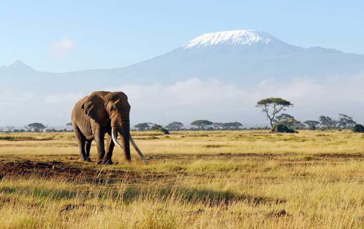 Africa cosa fanno i bambini